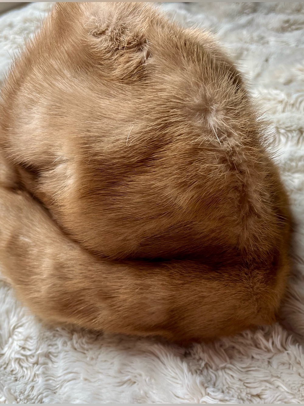 Rare Vintage d'Jimas Bros Genuine Mink Fur Pillbox Hat Secretly Warm Collection